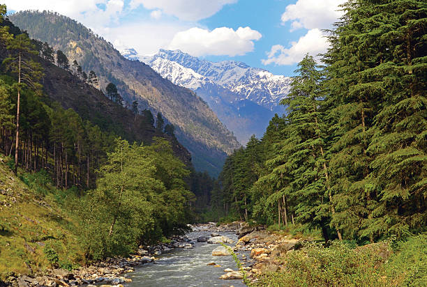 Shimla kullu manali car tour package 